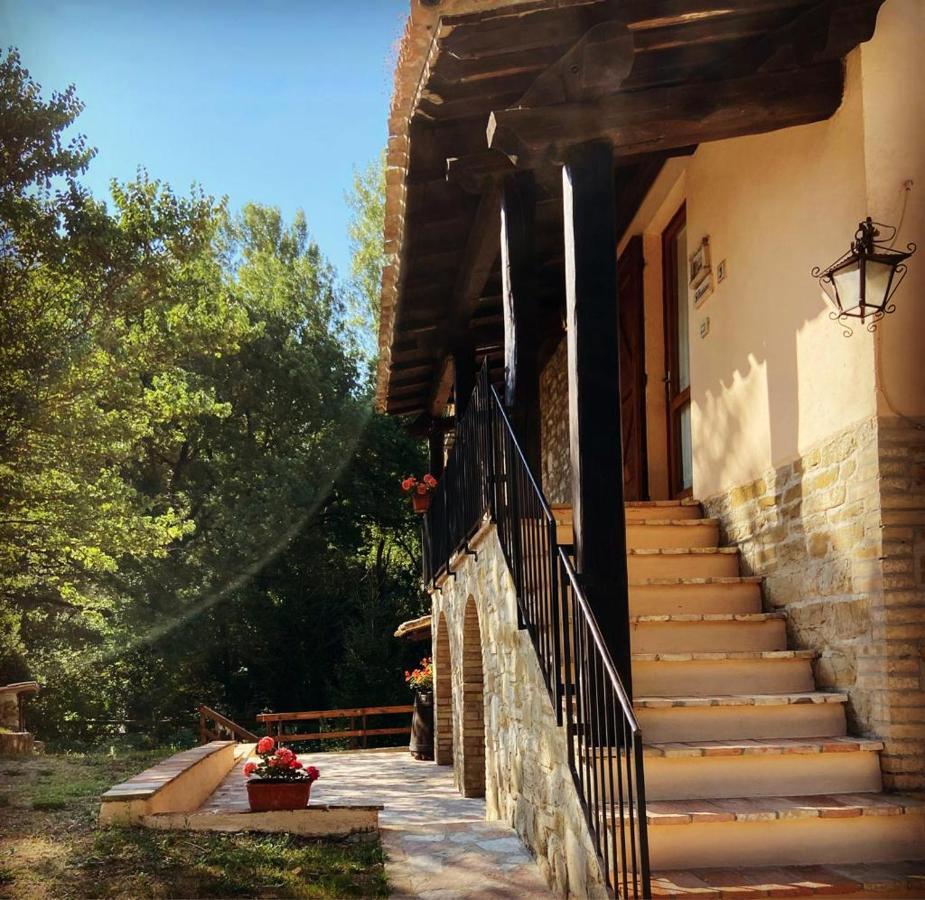 Penzion Le Querce Di Assisi Piano Delle Pieve Exteriér fotografie